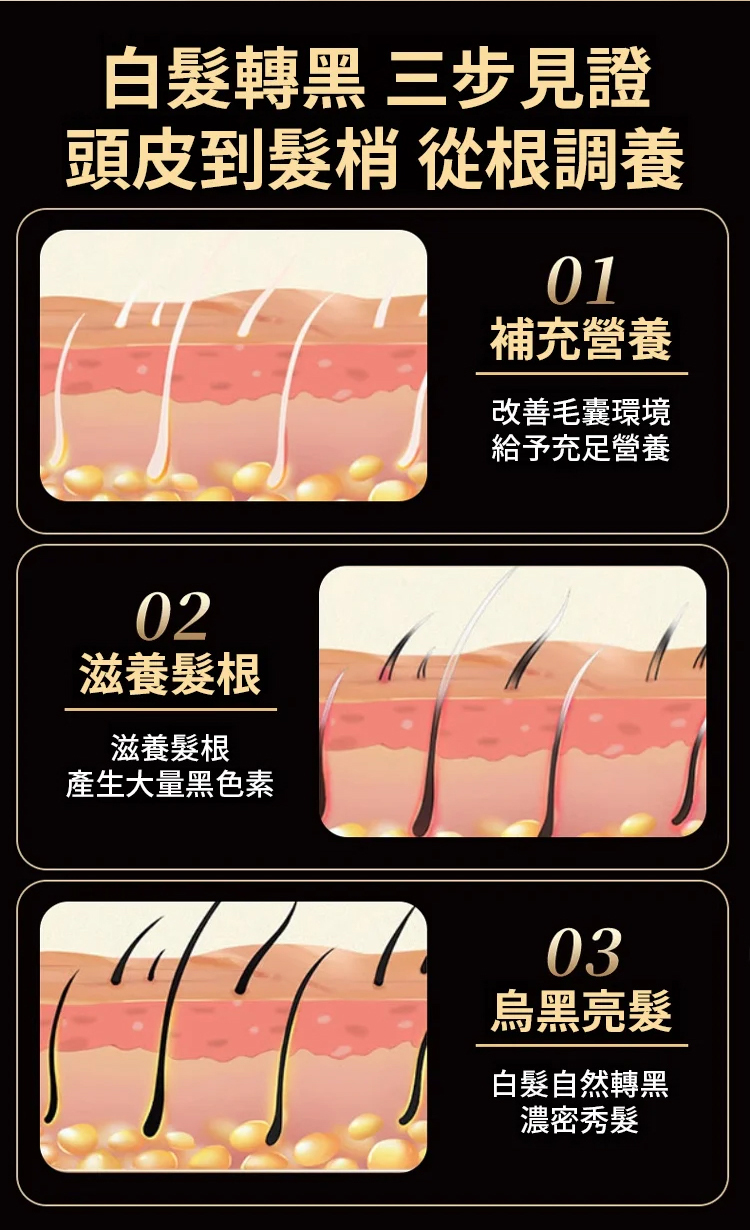 翻译件-HFH-【白发转黑】藏红花首乌养发精华液-1215255-系统_10.jpg