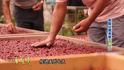 1939dae41878b8f423ccccc6e98f3fcb.webp