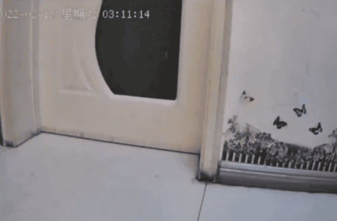 Honeycam 2025-02-08 16-52-15.gif