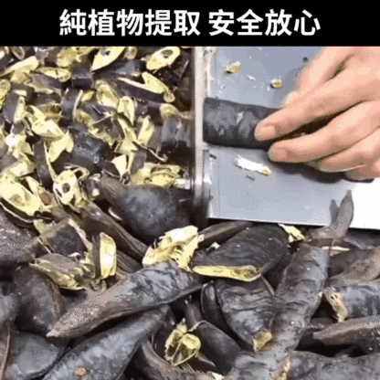 一次遮白髮植物美髮筆