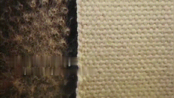 123_13.gif