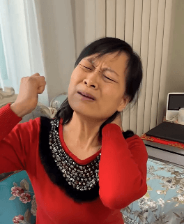 天麻杜仲葉平臥菊三七片 天麻杜仲葉平臥菊三七片