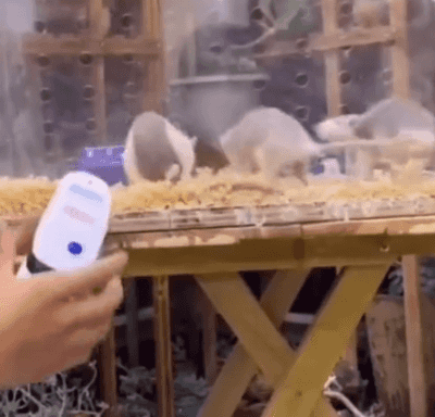 Honeycam 2025-02-08 16-51-27.gif
