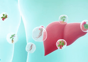 10ad31540eb66a59cf369998a77291d6.gif