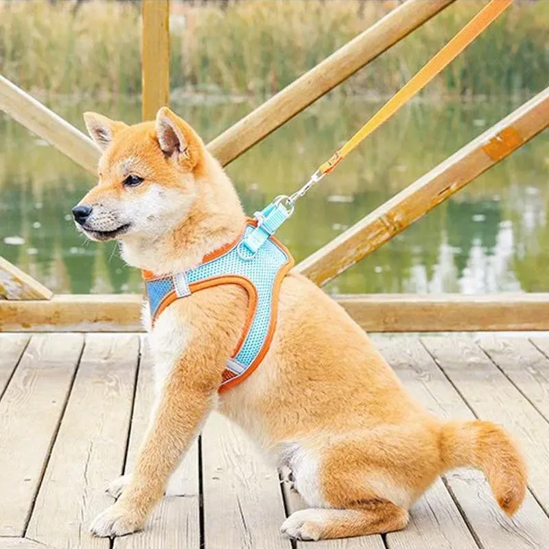 Pettorina per animali domestici