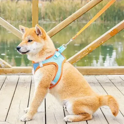 Pettorina per animali domestici
