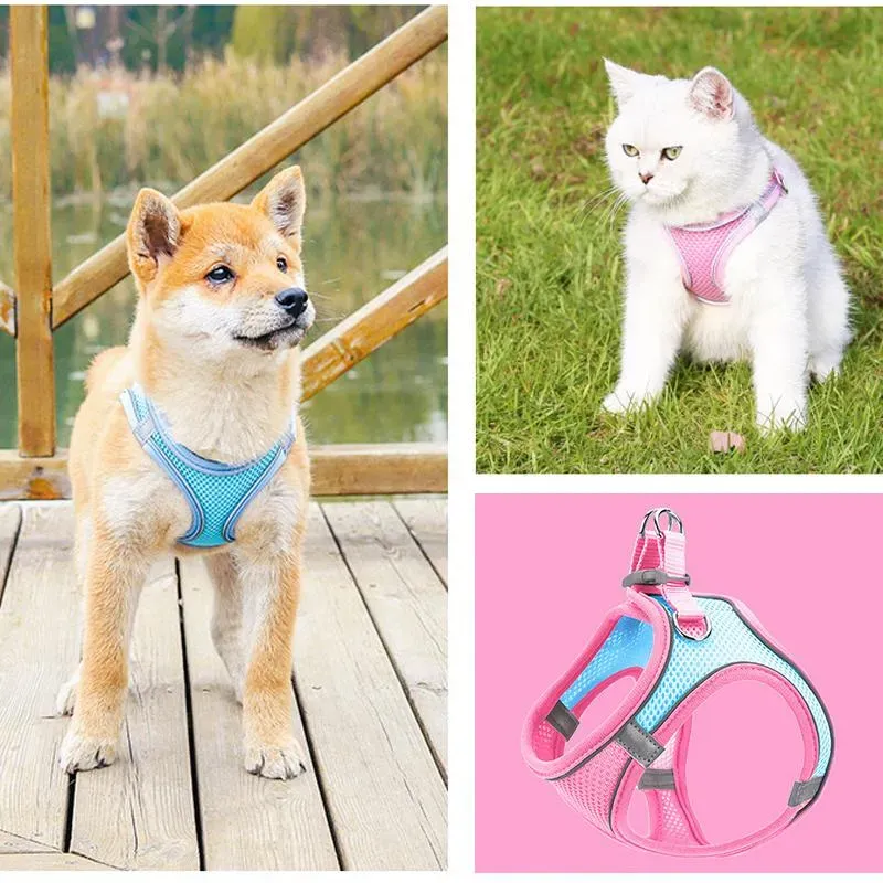 Pettorina per animali domestici