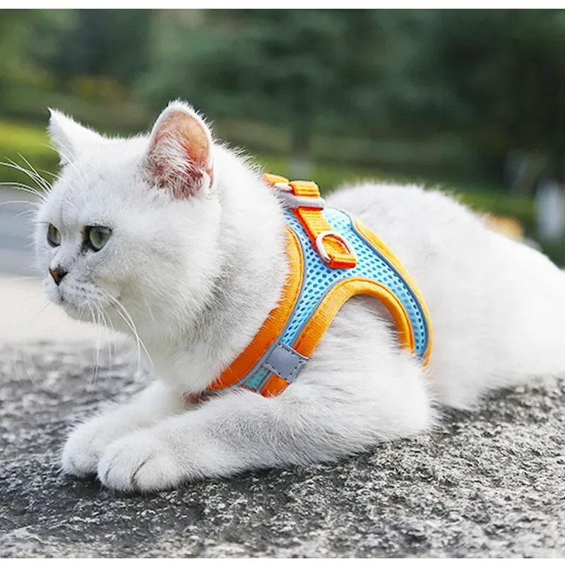 Pettorina per animali domestici