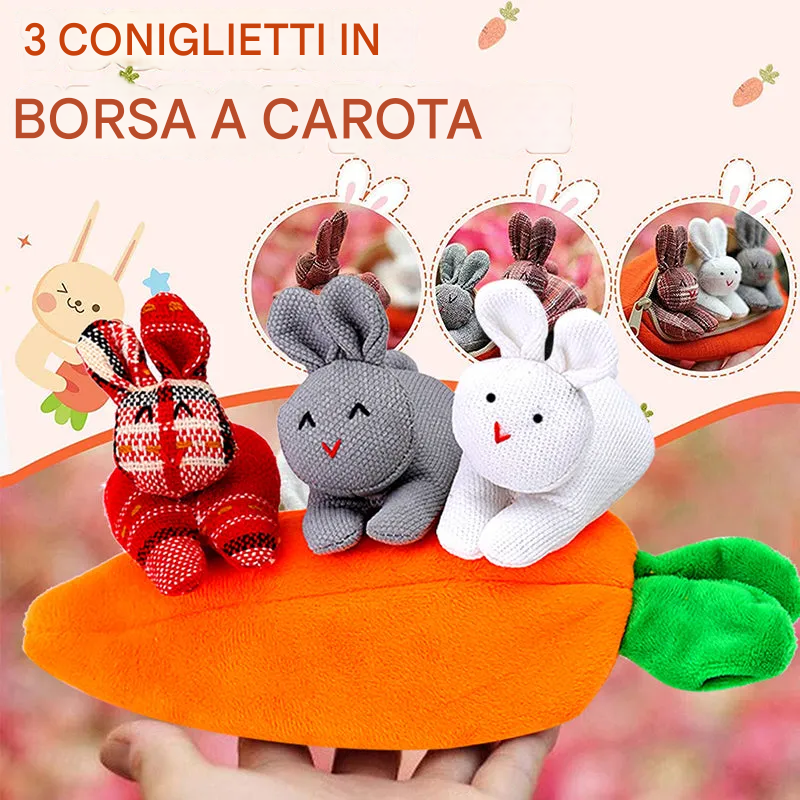 Portafoglio Carota