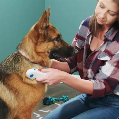 Rimuovi pulci elettrico per animali domestici
