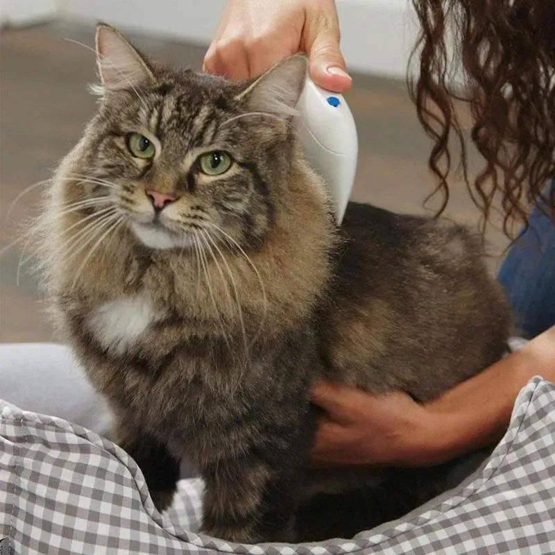 Rimuovi pulci elettrico per animali domestici