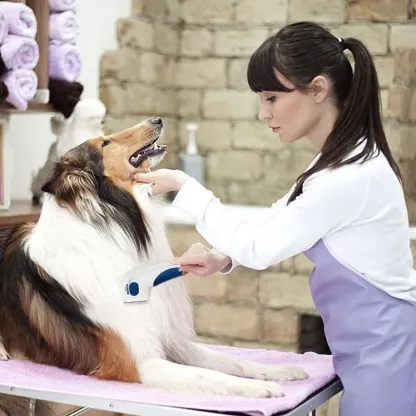 Rimuovi pulci elettrico per animali domestici