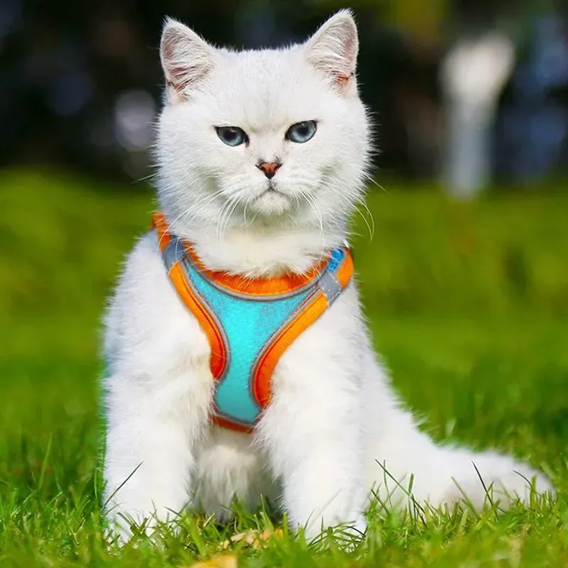 Pettorina per animali domestici