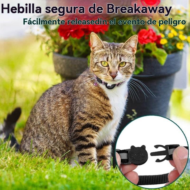 Collar AirTag para gatos