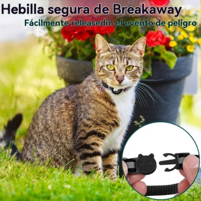 Collar AirTag para gatos