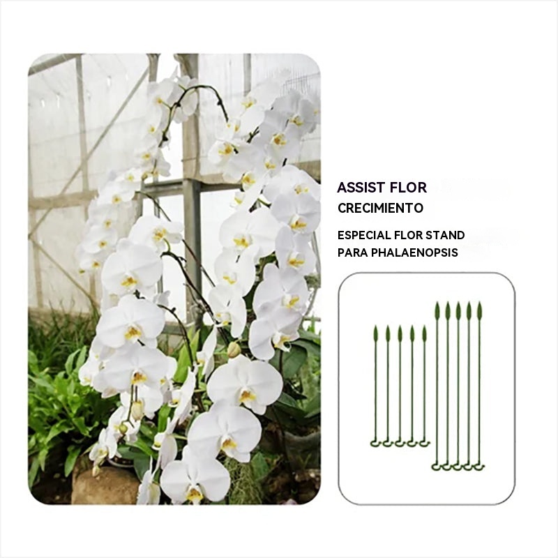 Estaca de soporte para plantas
