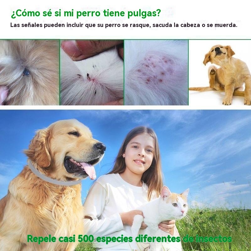 Collar antipulgas y garrapatas Pro Guard para perros