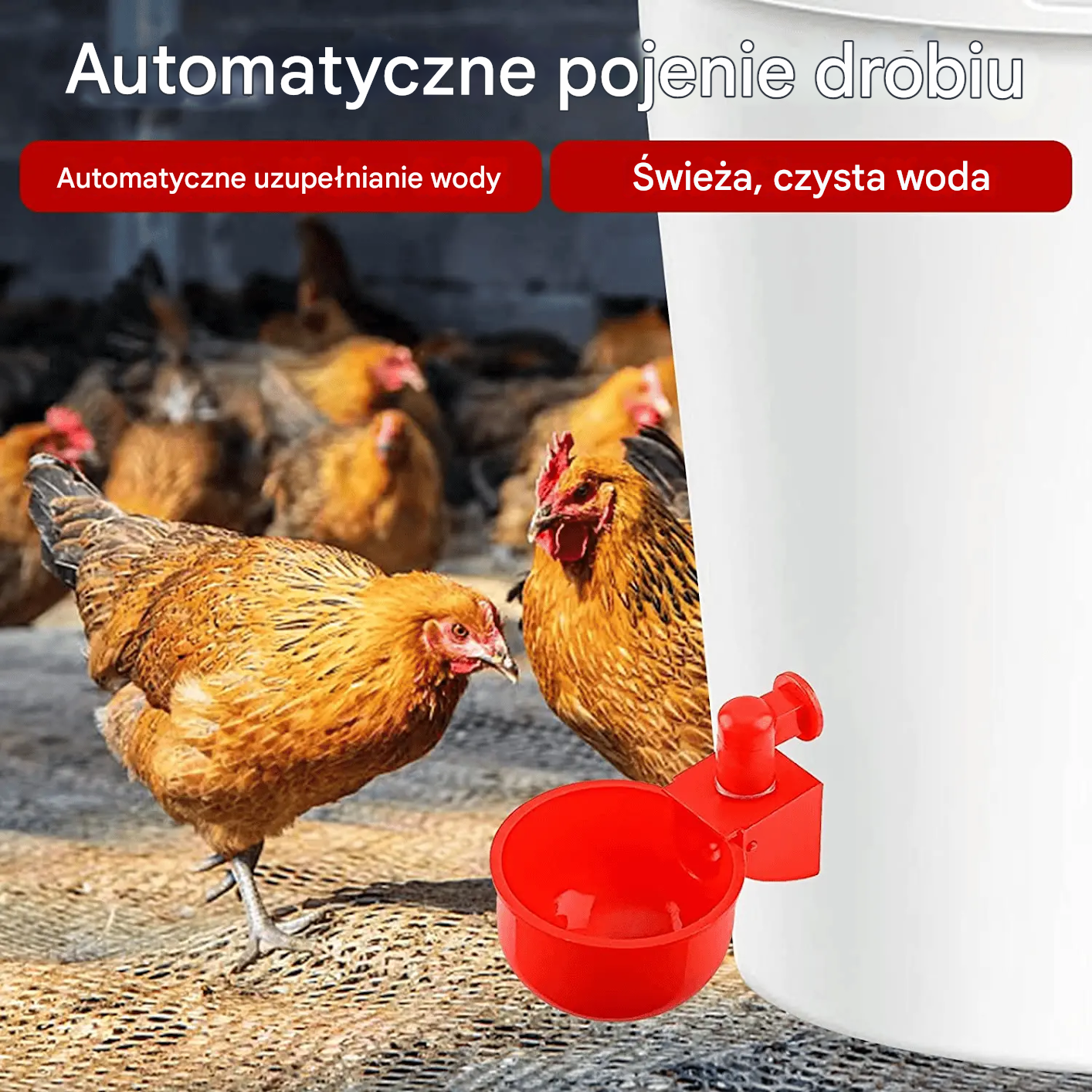 🔥🐔【Kup 20, a otrzymasz 20 gratis】【40 sztuk】Automatyczna miska do pojenia drobiu