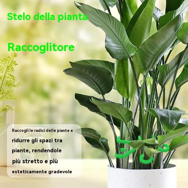 🔥Ultimo giorno 49% di sconto -🌿Set di supporto per steli di piante