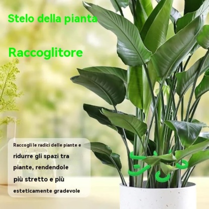 🔥Ultimo giorno 49% di sconto -🌿Set di supporto per steli di piante