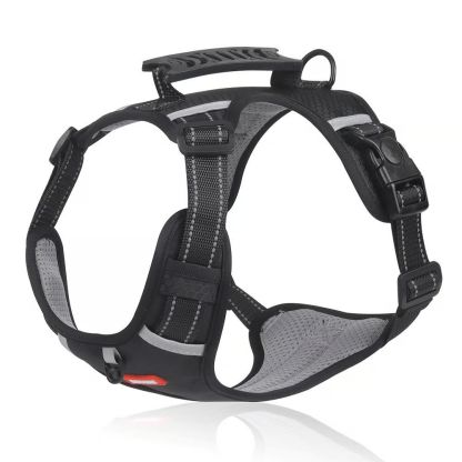 Pettorina per animali domestici, guinzaglio in nylon per cani, rete traspirante, guinzaglio regolabile