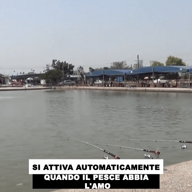 🎣🎣Canna da pesca automatica Canna da pesca Canna da lancio Supporto a molla di messa a terra Canna da avviamento Attrezzatura da pesca