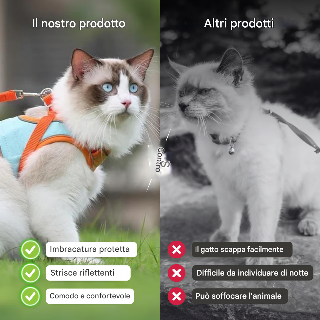 Pettorina e guinzaglio per gatti