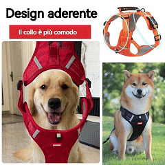 Pettorina per animali domestici, guinzaglio in nylon per cani, rete traspirante, guinzaglio regolabile