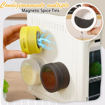 Barattolo per spezie magnetico da parete 