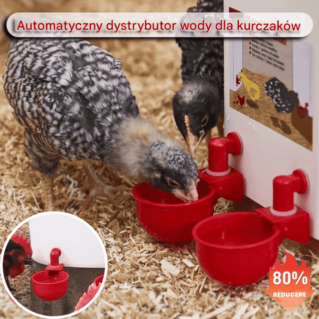 🔥🐔【Kup 20, a otrzymasz 20 gratis】【40 sztuk】Automatyczna miska do pojenia drobiu