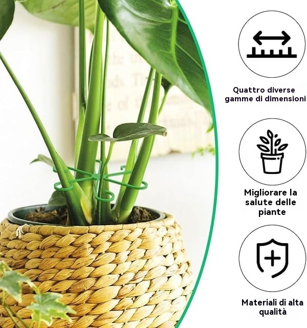 🔥Ultimo giorno 49% di sconto -🌿Set di supporto per steli di piante