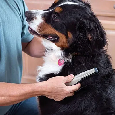 Pettine elettrico per la rifinitura e la cura dei capelli