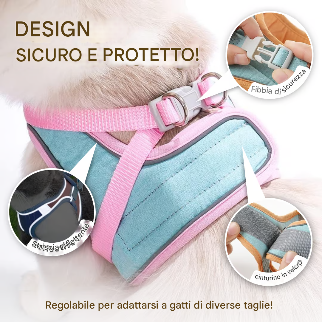 Pettorina e guinzaglio per gatti