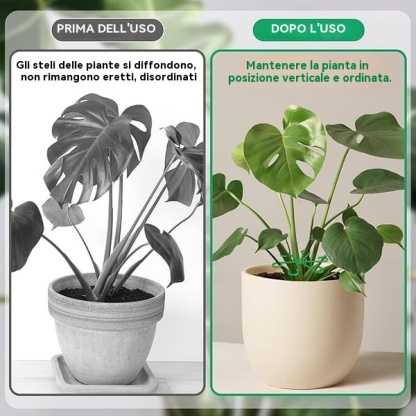 🔥Ultimo giorno 49% di sconto -🌿Set di supporto per steli di piante