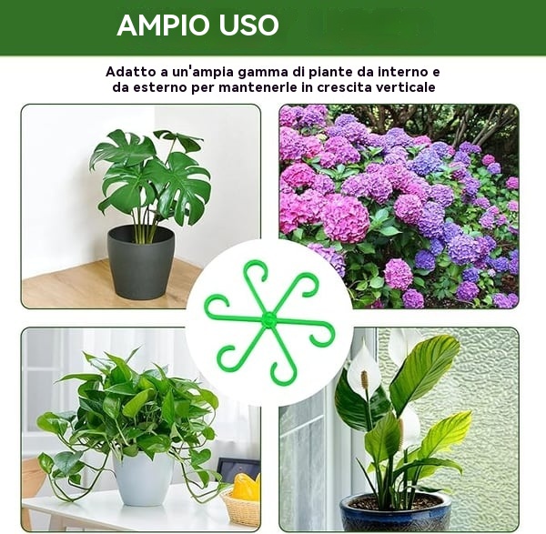 🔥Ultimo giorno 49% di sconto -🌿Set di supporto per steli di piante