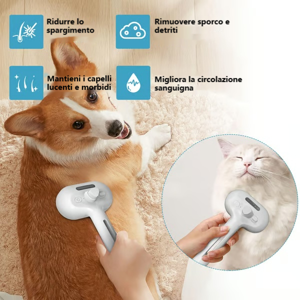 ✨Pettine per la rimozione dei peli con spray per animali domestici🐶