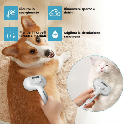 ✨Pettine per la rimozione dei peli con spray per animali domestici🐶