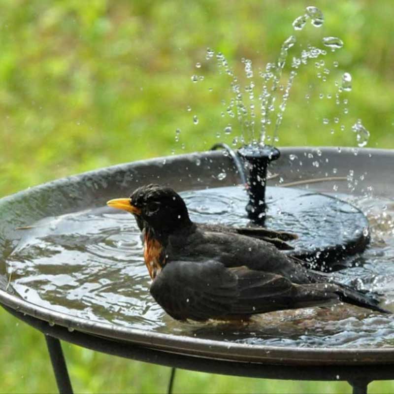 Dai vita al tuo giardino con una fontana magica solare | FONTANA 1+1 GRATIS