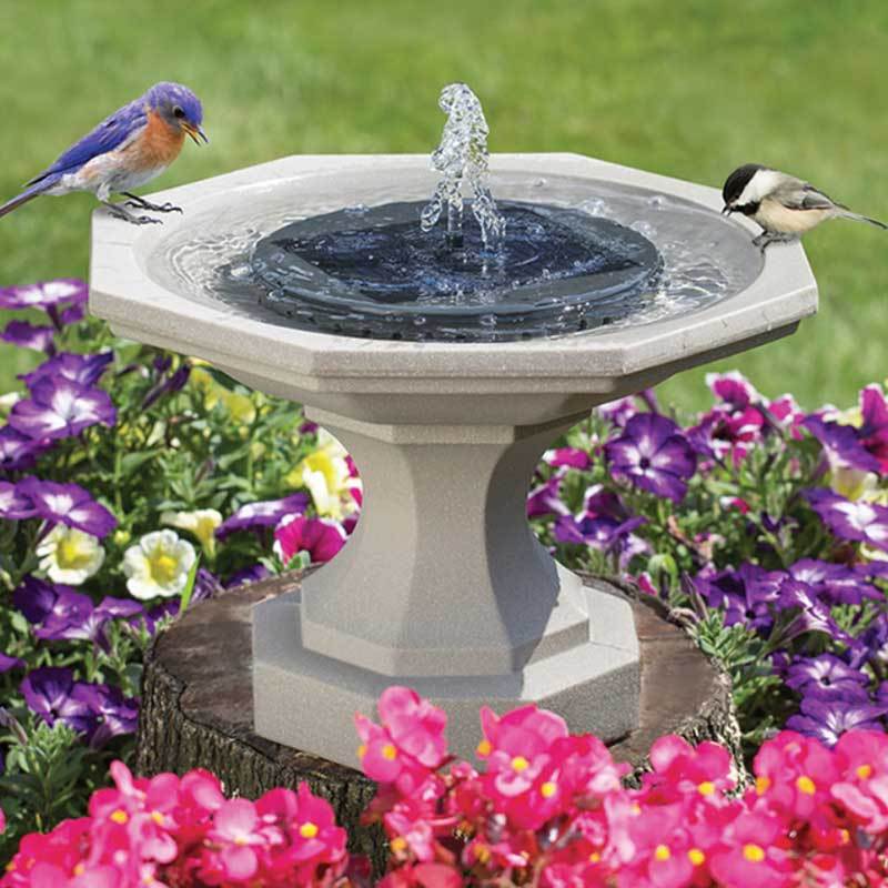 Dai vita al tuo giardino con una fontana magica solare