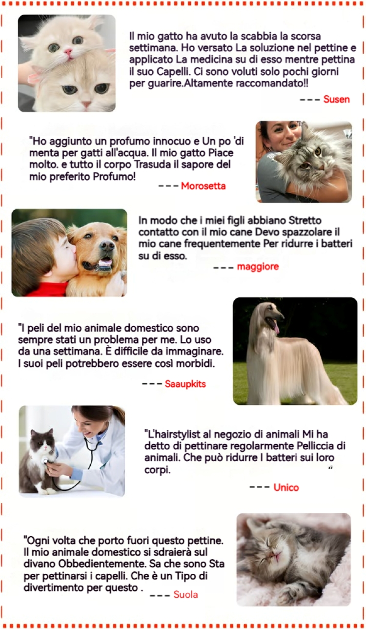 ✨Pettine per la rimozione dei peli con spray per animali domestici🐶