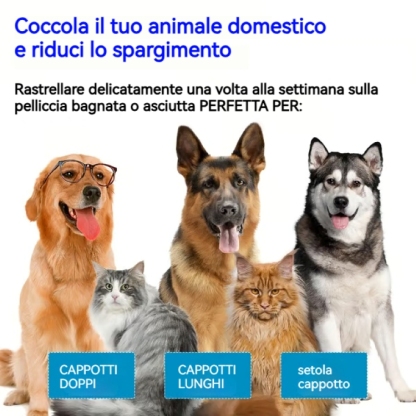 ✨Pettine per la rimozione dei peli con spray per animali domestici🐶