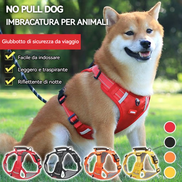Pettorina per animali domestici, guinzaglio in nylon per cani, rete traspirante, guinzaglio regolabile