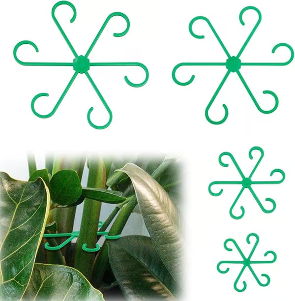 🔥Ultimo giorno 49% di sconto -🌿Set di supporto per steli di piante