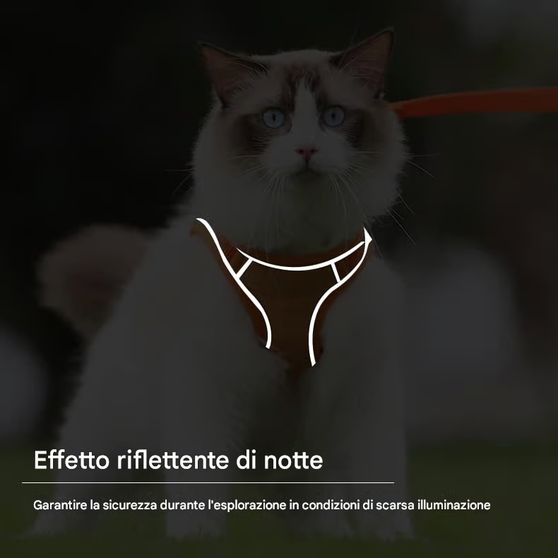 Pettorina e guinzaglio per gatti