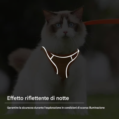 Pettorina e guinzaglio per gatti