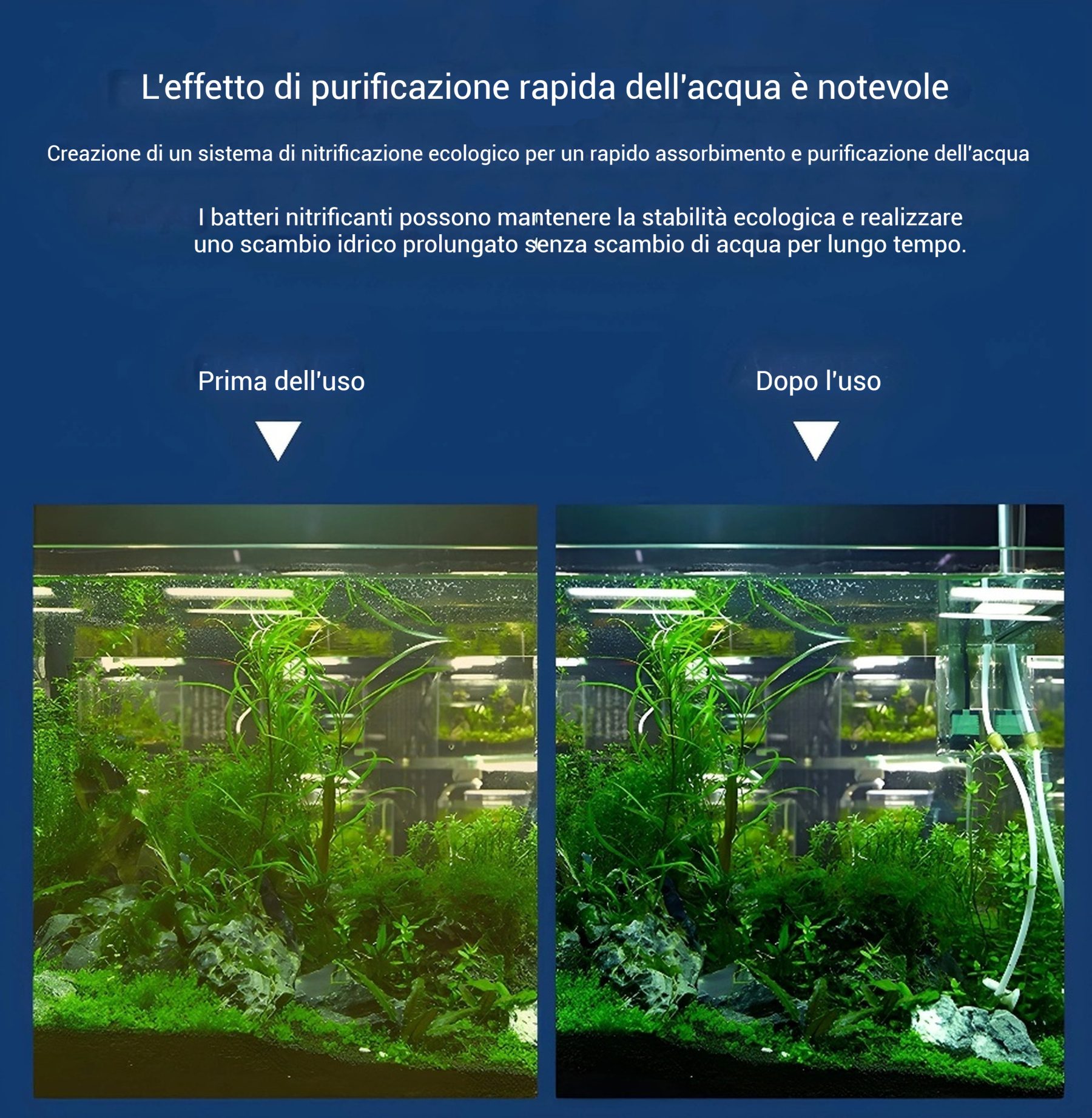 【3.5/4/6/15/20/25W】💦Filtro elettrico silenzioso per acquario🐟
