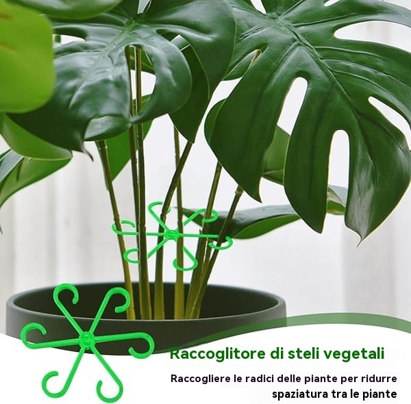 🔥Ultimo giorno 49% di sconto -🌿Set di supporto per steli di piante