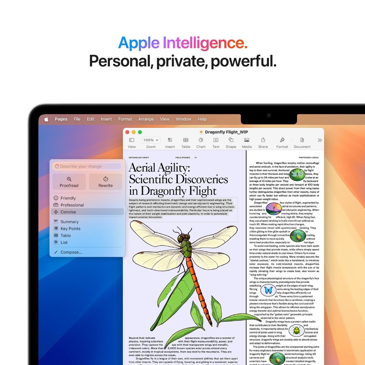 MacthtBook Air (13-inch,M4, 2025)