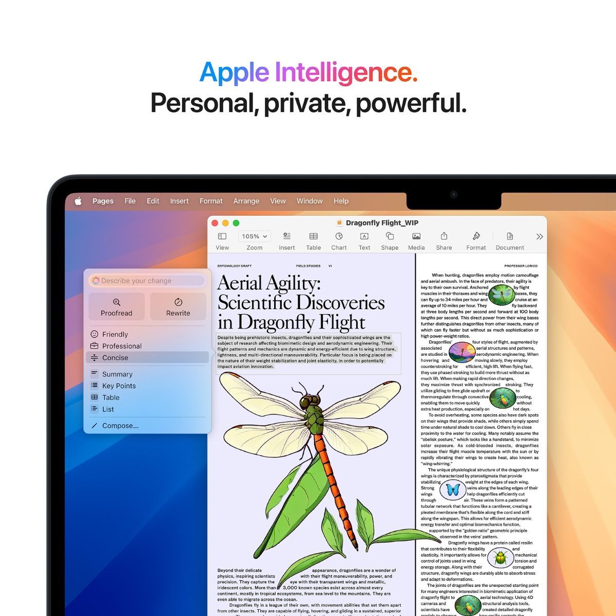 MacthtBook Air (15-inch,M4, 2025)
