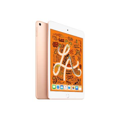 iPthtad mini (7.9-inch, 2019, 5th Generation) Wi-Fi
